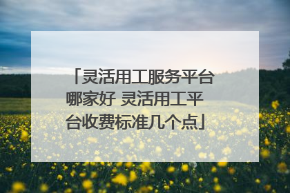 灵活用工服务平台哪家好 灵活用工平台收费标准几个点