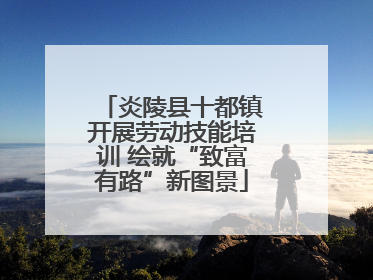 炎陵县十都镇开展劳动技能培训 绘就“致富有路”新图景