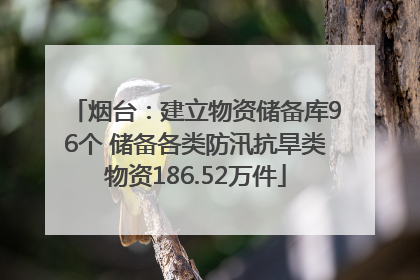 烟台：建立物资储备库96个 储备各类防汛抗旱类物资186.52万件