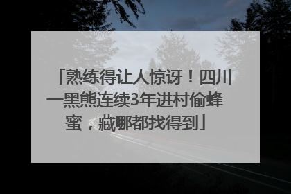 熟练得让人惊讶！四川一黑熊连续3年进村偷蜂蜜，藏哪都找得到