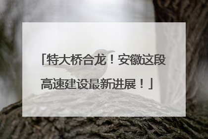 特大桥合龙！安徽这段高速建设最新进展！