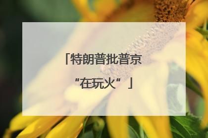 特朗普批普京“在玩火”