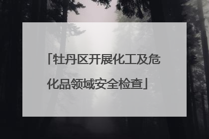 牡丹区开展化工及危化品领域安全检查