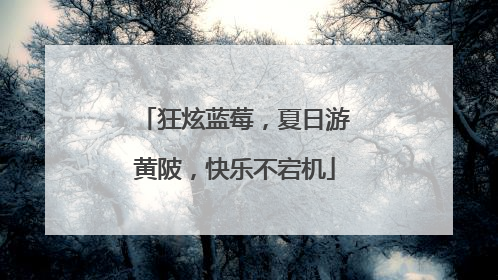 狂炫蓝莓，夏日游黄陂，快乐不宕机
