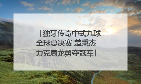 独牙传奇中式九球全球总决赛 楚秉杰力克周龙勇夺冠军