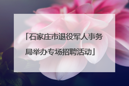 石家庄市退役军人事务局举办专场招聘活动