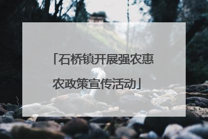石桥镇开展强农惠农政策宣传活动