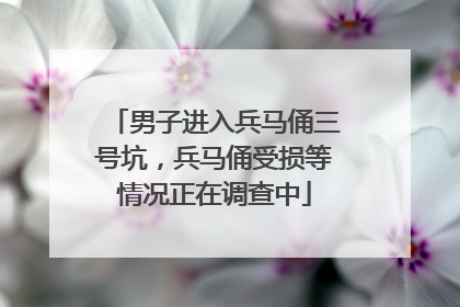 男子进入兵马俑三号坑，兵马俑受损等情况正在调查中
