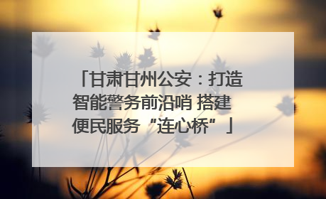 甘肃甘州公安：打造智能警务前沿哨 搭建便民服务“连心桥”