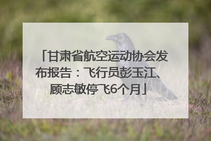 甘肃省航空运动协会发布报告：飞行员彭玉江、顾志敏停飞6个月