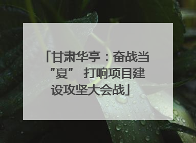甘肃华亭：奋战当“夏” 打响项目建设攻坚大会战