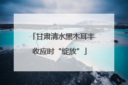 甘肃清水黑木耳丰收应时“绽放”