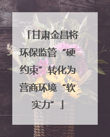 甘肃金昌将环保监管“硬约束”转化为营商环境“软实力”