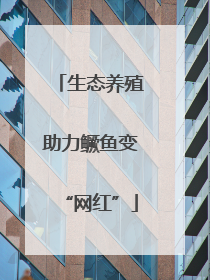 生态养殖助力鳜鱼变“网红”