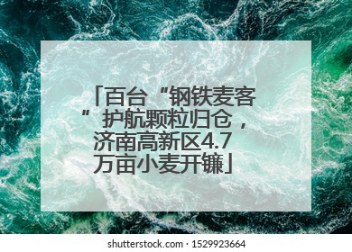百台“钢铁麦客”护航颗粒归仓，济南高新区4.7万亩小麦开镰