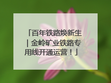 百年铁路焕新生｜金岭矿业铁路专用线开通运营！