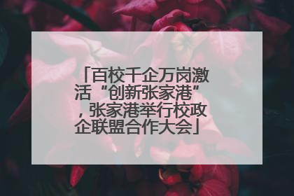 百校千企万岗激活“创新张家港”，张家港举行校政企联盟合作大会