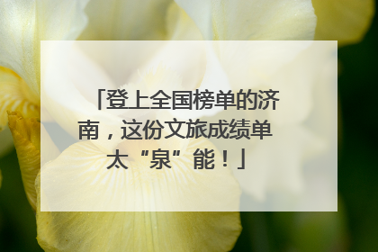 登上全国榜单的济南，这份文旅成绩单太“泉”能！