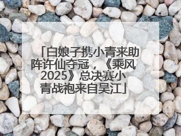 白娘子携小青来助阵许仙夺冠，《乘风2025》总决赛小青战袍来自吴江