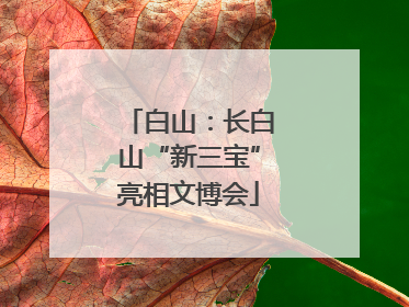白山：长白山“新三宝”亮相文博会