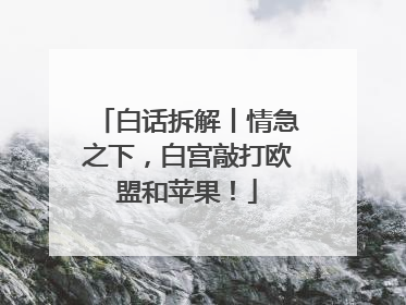 白话拆解丨情急之下，白宫敲打欧盟和苹果！