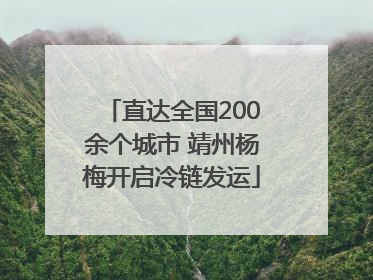 直达全国200余个城市 靖州杨梅开启冷链发运