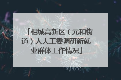 相城高新区（元和街道）人大工委调研新就业群体工作情况