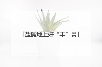 盐碱地上好“丰”景