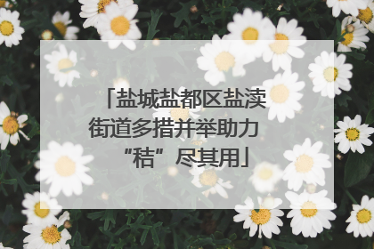 盐城盐都区盐渎街道多措并举助力“秸”尽其用