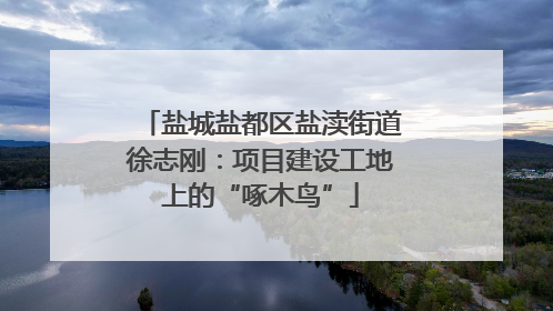 盐城盐都区盐渎街道徐志刚：项目建设工地上的“啄木鸟”