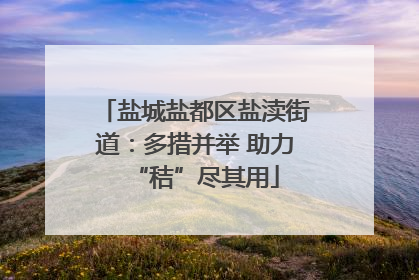 盐城盐都区盐渎街道：多措并举 助力“秸”尽其用