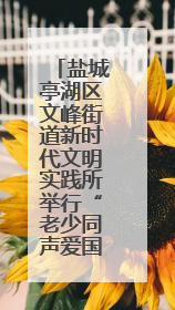 盐城亭湖区文峰街道新时代文明实践所举行“老少同声爱国情 同心奋进新征程”为主题的红色文化活动