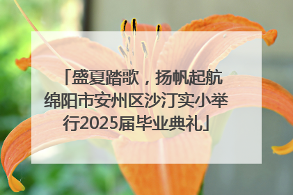 盛夏踏歌，扬帆起航 绵阳市安州区沙汀实小举行2025届毕业典礼
