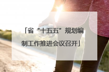 省“十五五”规划编制工作推进会议召开