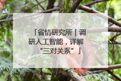 省情研究所｜调研人工智能，详解“三对关系”