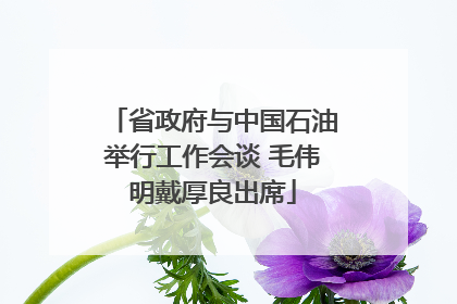 省政府与中国石油举行工作会谈 毛伟明戴厚良出席