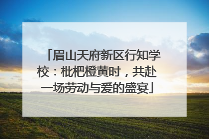 眉山天府新区行知学校：枇杷橙黄时，共赴一场劳动与爱的盛宴