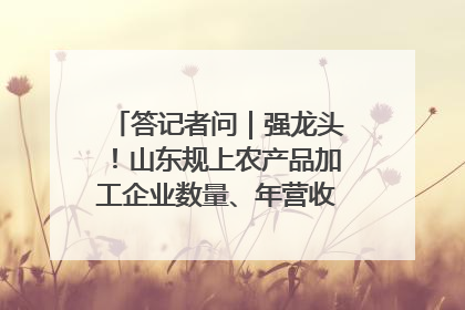 答记者问｜强龙头！山东规上农产品加工企业数量、年营收均居全国首位