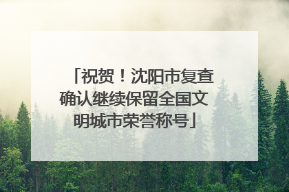 祝贺！沈阳市复查确认继续保留全国文明城市荣誉称号