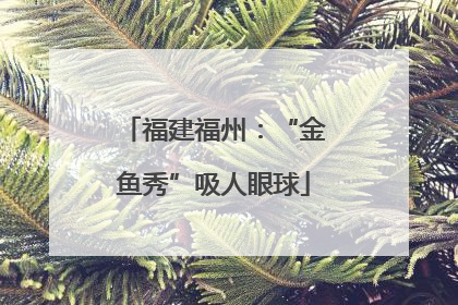 福建福州：“金鱼秀”吸人眼球