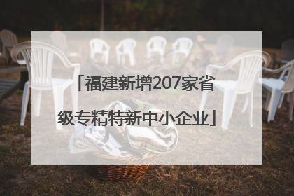 福建新增207家省级专精特新中小企业