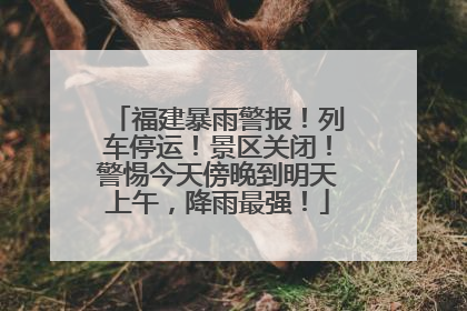 福建暴雨警报！列车停运！景区关闭！警惕今天傍晚到明天上午，降雨最强！