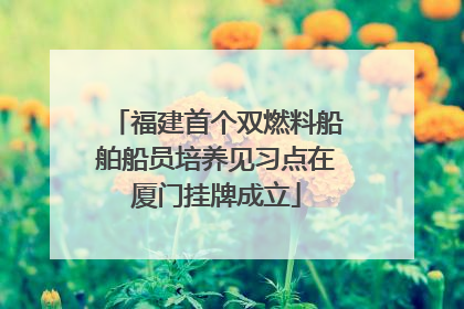 福建首个双燃料船舶船员培养见习点在厦门挂牌成立