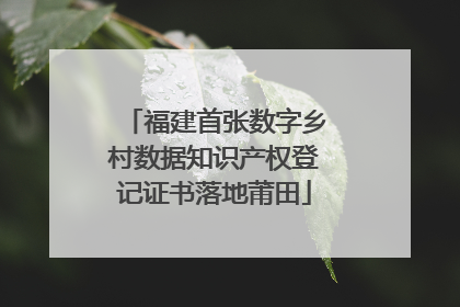福建首张数字乡村数据知识产权登记证书落地莆田