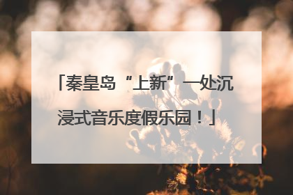 秦皇岛“上新”一处沉浸式音乐度假乐园！