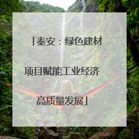 秦安：绿色建材项目赋能工业经济高质量发展