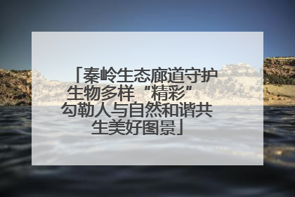 秦岭生态廊道守护生物多样“精彩” 勾勒人与自然和谐共生美好图景