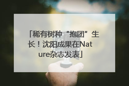 稀有树种“抱团”生长！沈阳成果在Nature杂志发表