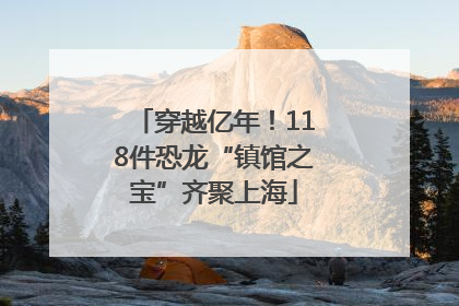 穿越亿年！118件恐龙“镇馆之宝”齐聚上海