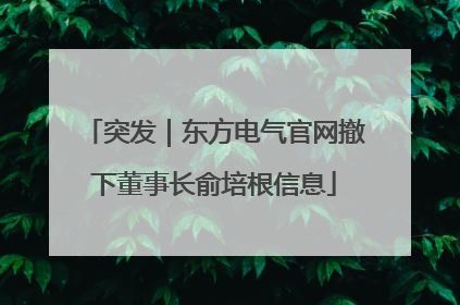 突发｜东方电气官网撤下董事长俞培根信息